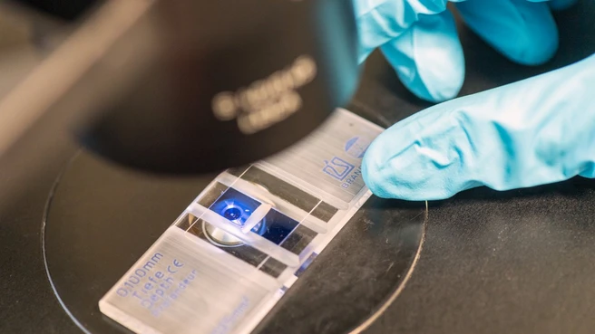 Trägerplättchen in Nahaufnahme unter einem Mikroskop von oben mit behandschuhter Hand